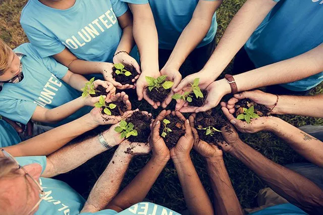 Volunteer